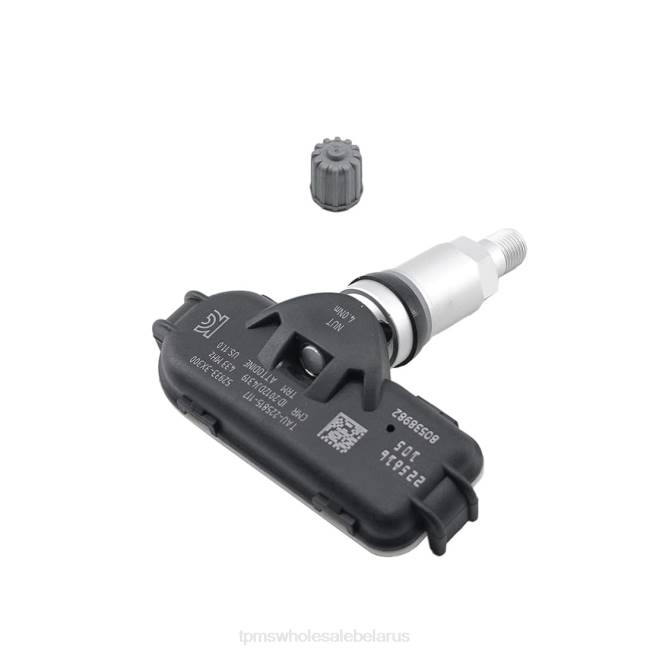 TPMS Belarus - tpms Hyundai датчик давления 529333x300 448 МГц X86D1671